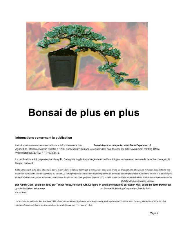 Les Bonsaï en pleine croissance
