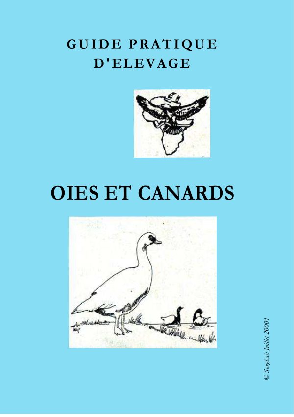 L'élevage du canard