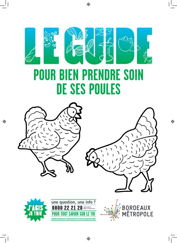 Bien prendre soin des poulets
