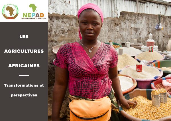 Agriculture Africaine