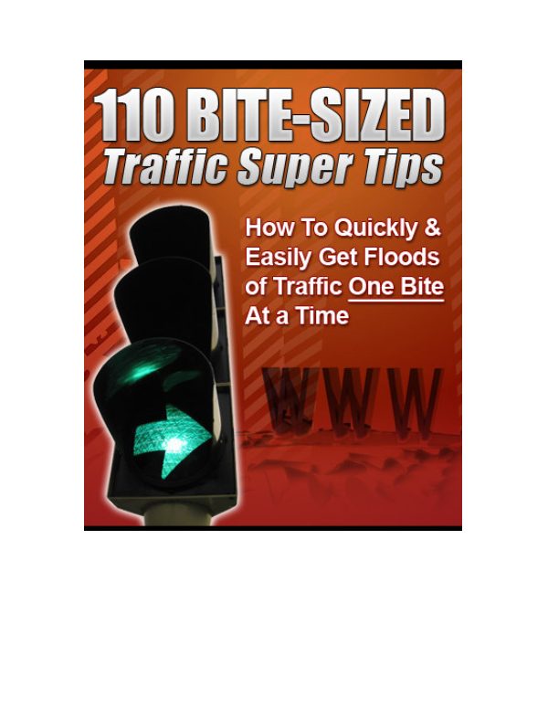 110 Conseils SEO Traffic