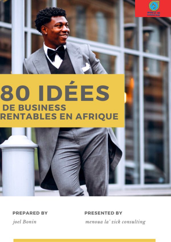80 idées de business en Afrique